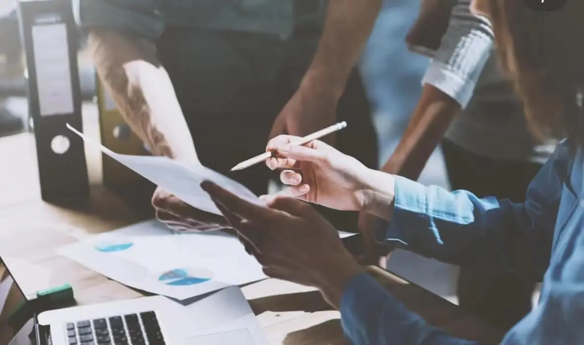 羊肉公司介绍怎么写好